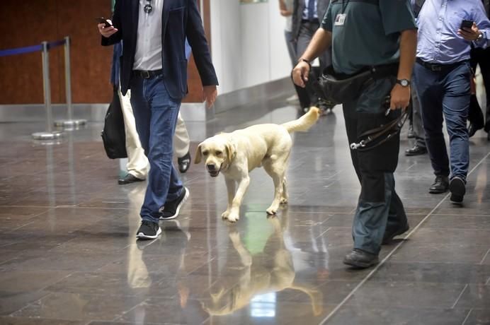 REPORTAJE UNIDAD CANINA AEROPUETO DE GRAN CANARIA