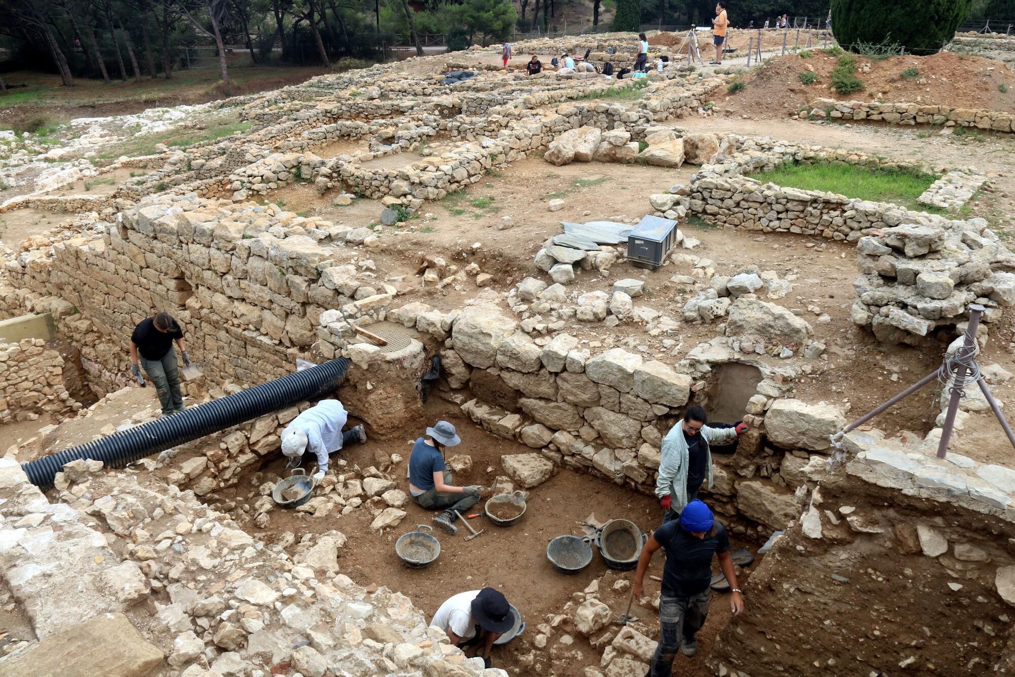 Pla general de les excavacions d'aquest estiu a la Neàpolis i a la zona de l'antic santuari dedicat a Demèter a Empúries