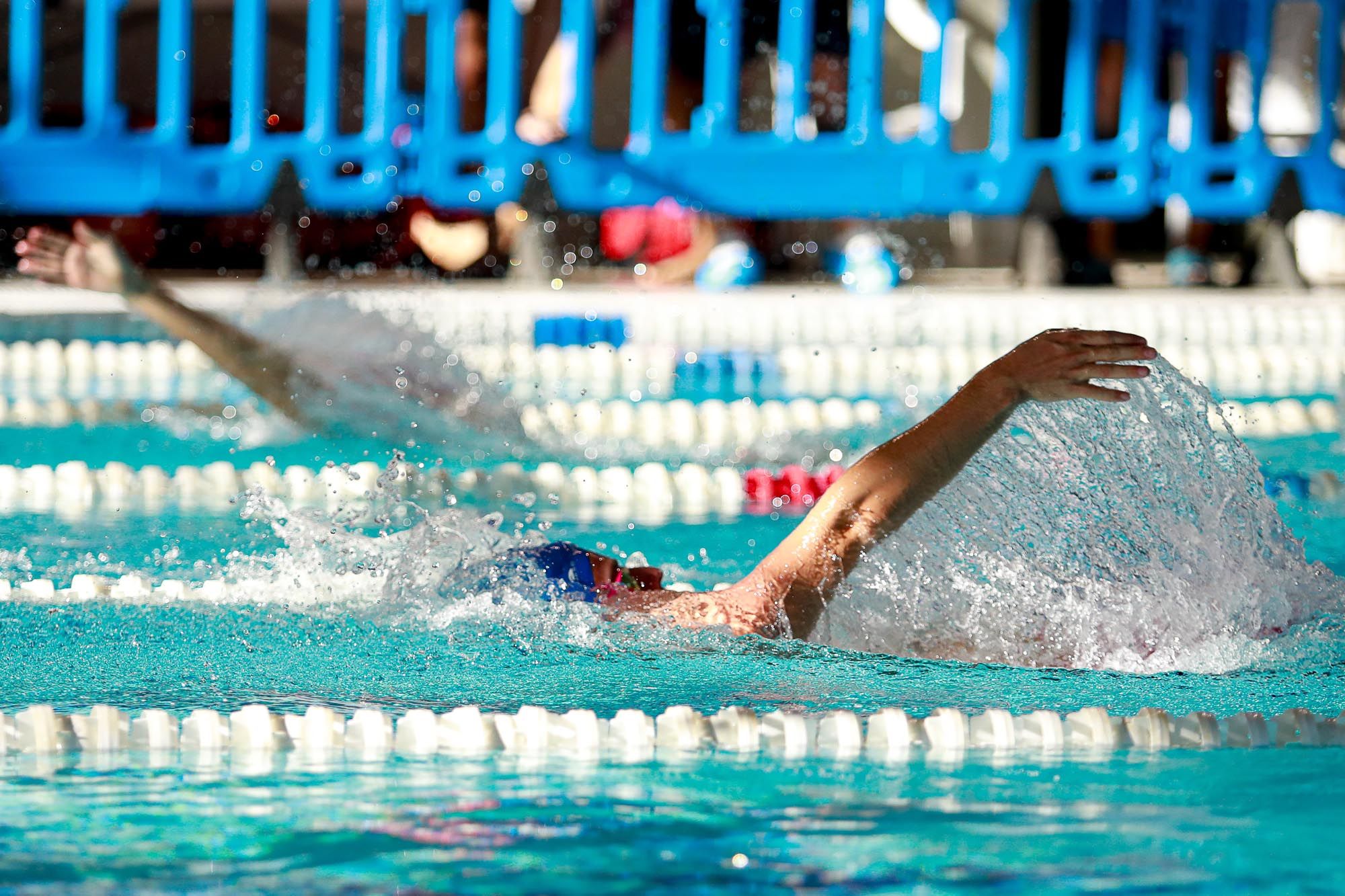 Campeonato de Baleares de invierno de Natación