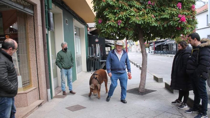 Un paseo de jamones por la capital del cocido