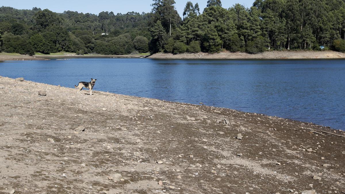 Estado del embalse de Zamáns, a mediados de agosto