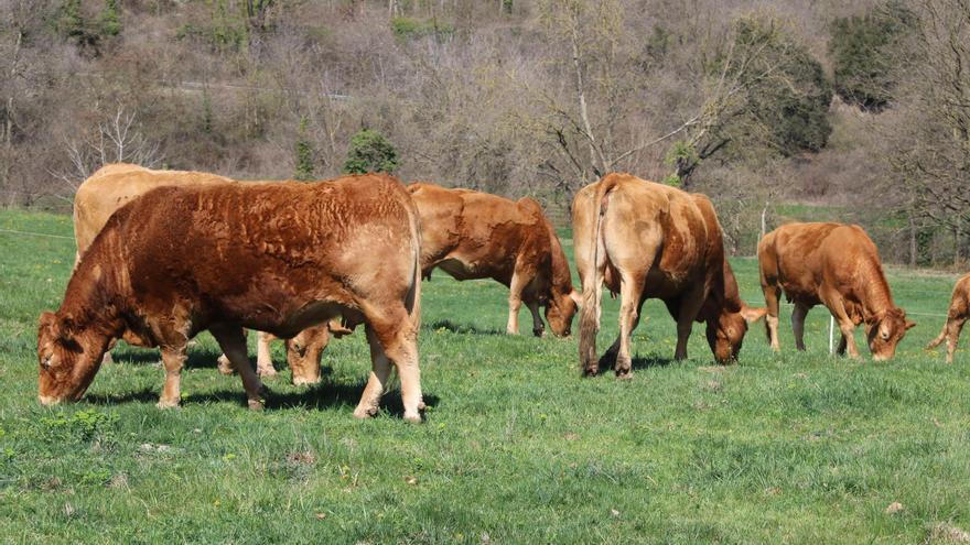 Govern i pagesos garrotxins col·laboren en un projecte per una millor gestió del Parc Natural de la Zona Volcànica