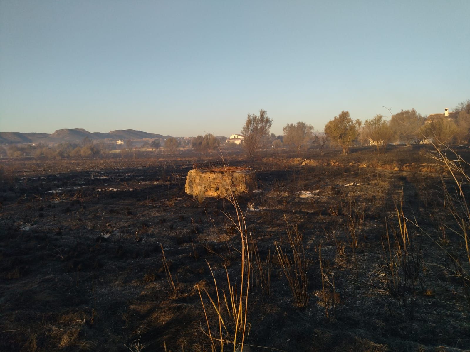 El valle agrícola del Montgó, reducido a cenizas (imágenes)