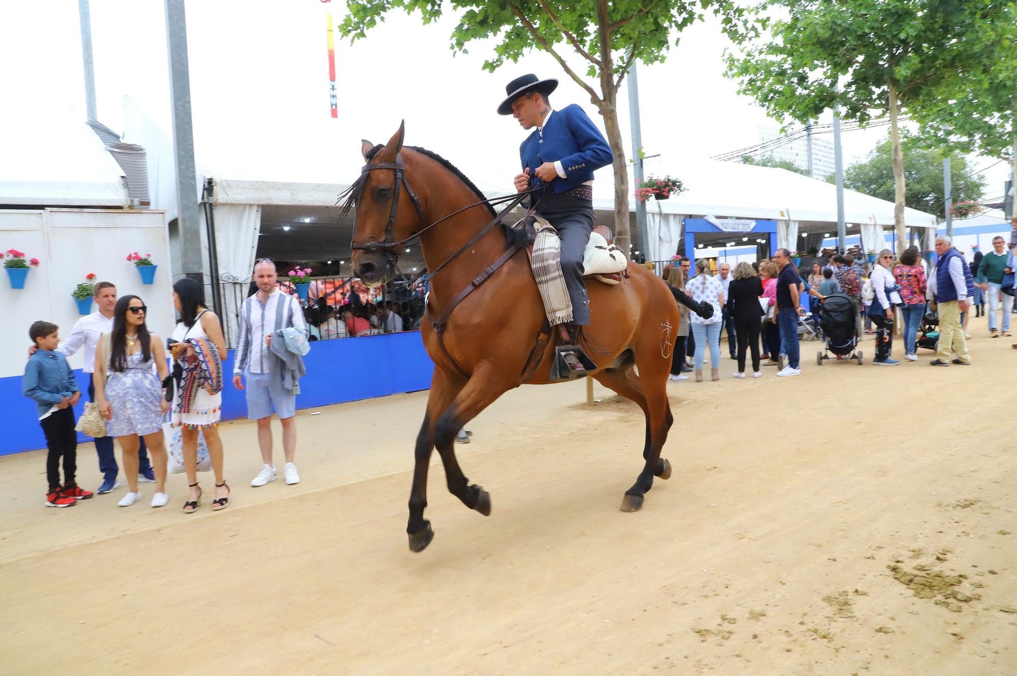 El domingo de l Feria de Córdoba en imágenes