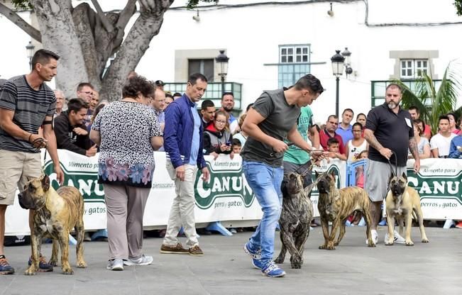 Celebración del I Certamen Nacional de perro ...