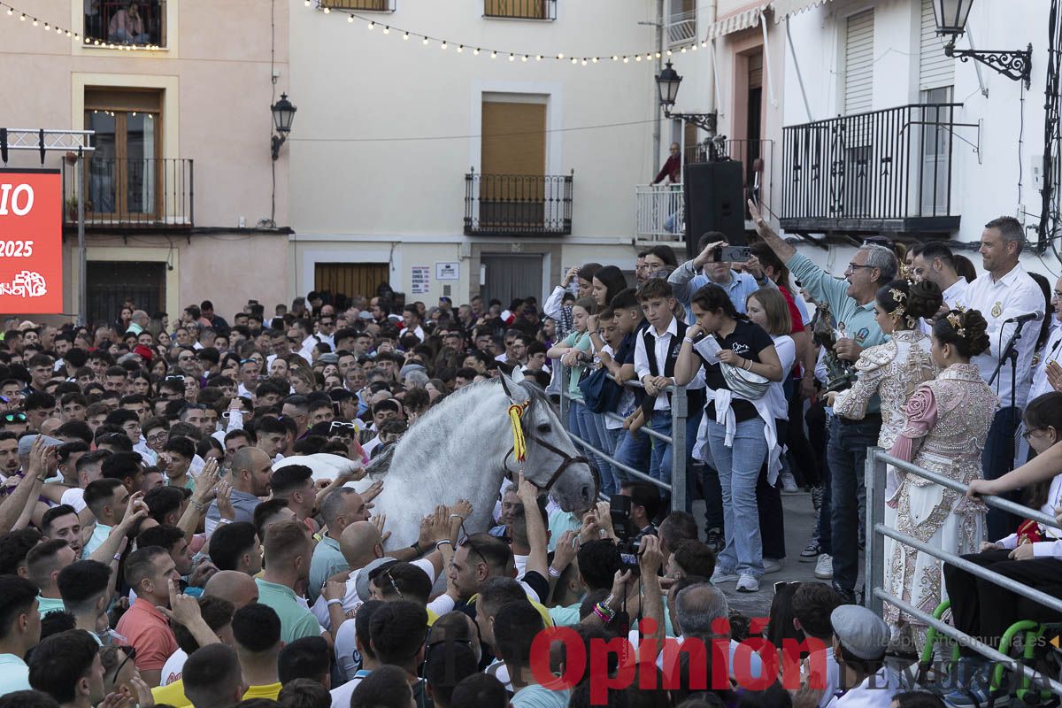 Fiestas de Caravaca | Entrega de premios del concurso morfológico