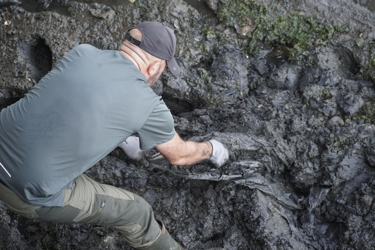 Limpieza ambiental en la ría do Burgo