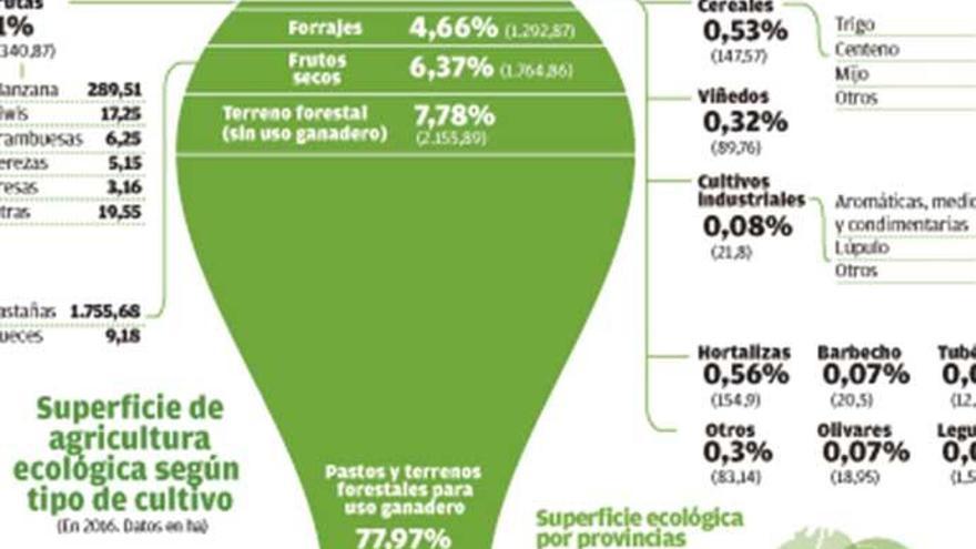 La agricultura sostenible crece un 188% en diez años