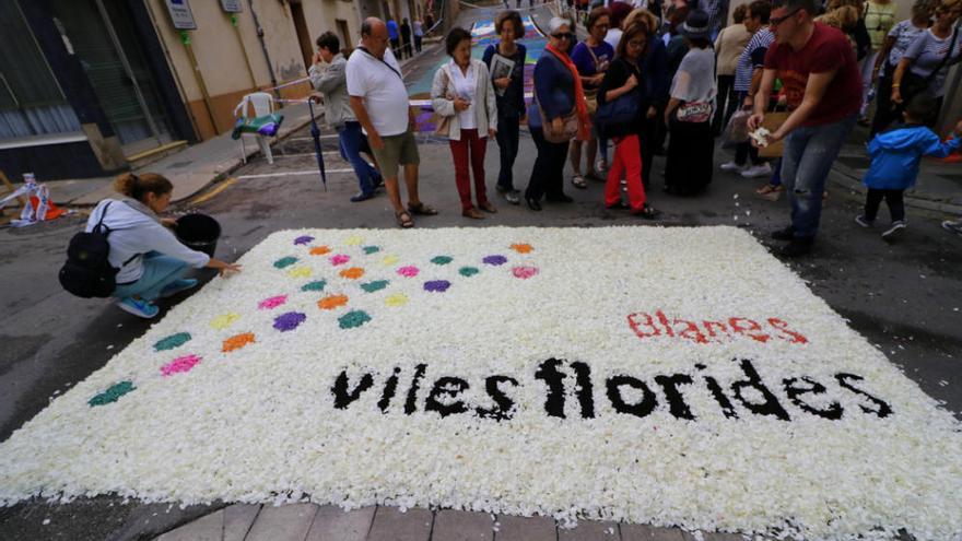 Catifes de flors de Corpus a Blanes