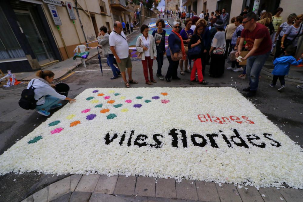 Catifes de flors de Corpus al centre de Blanes