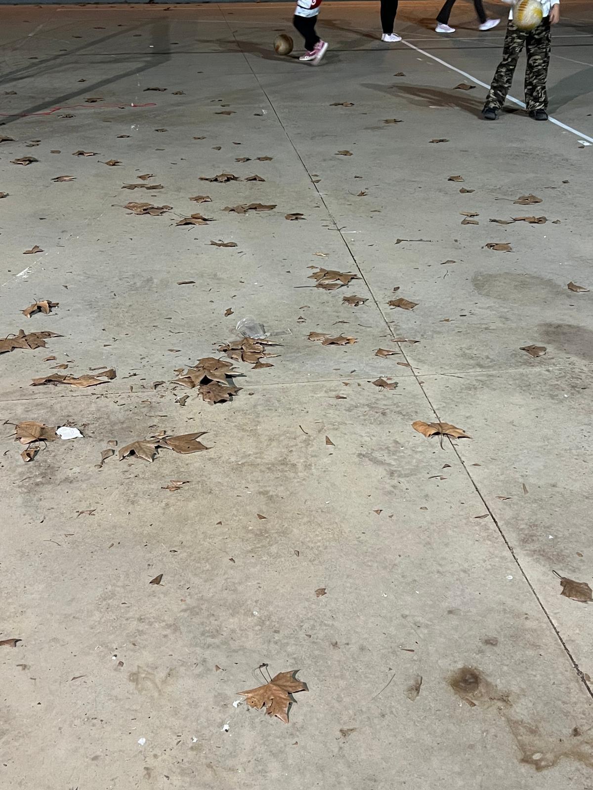 Un entrenament del Club Esportiu Vòlei Girona al pati de l'escola Migdia, amb la pista plena de fulles.