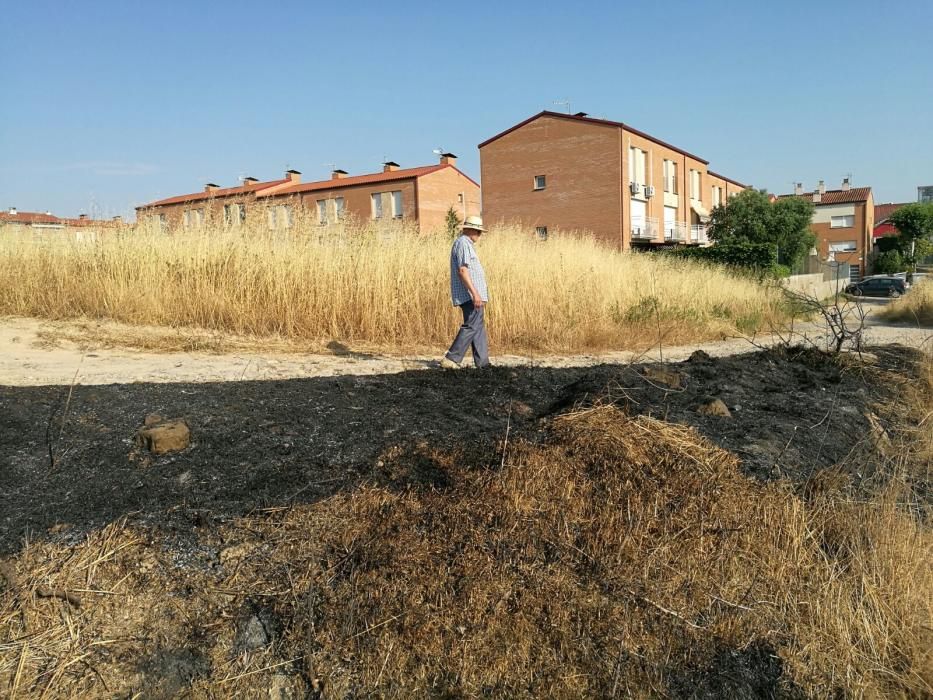 El desolador paisatge després del foc