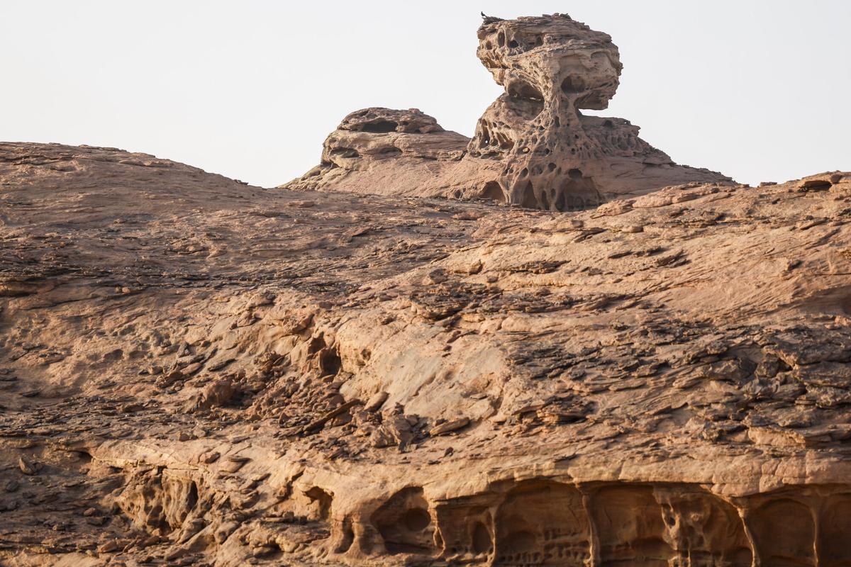 La cuarta etapa del Rally Dakar 2026, en imágenes