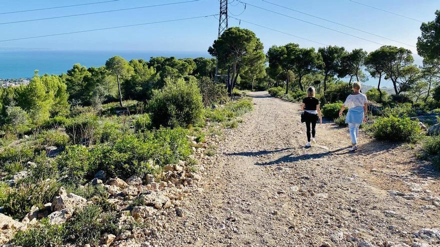Sonne und 21 Grad auf Mallorca: Es wird nochmal warm auf der Insel