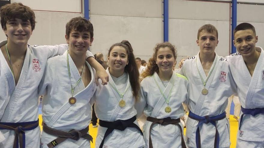 Doce medallas para el Avilés en la primera cita del año de judo