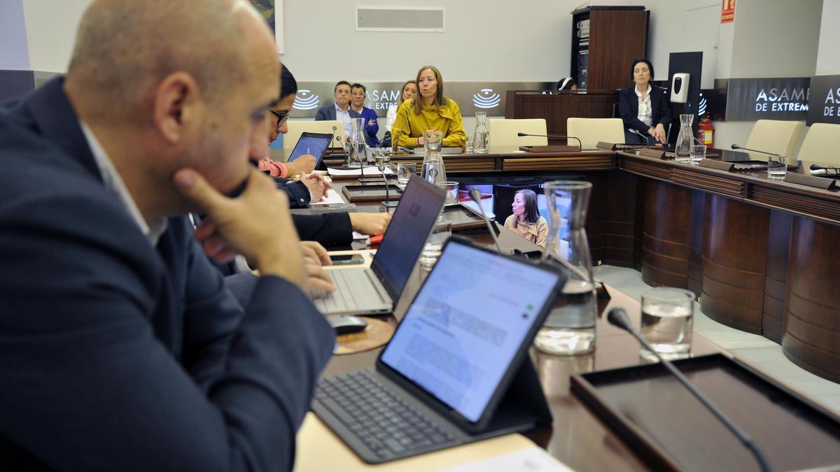 Reunión de la Comisión de Infraestructuras, Transporte y Vivienda de la Asamblea de Extremadura.