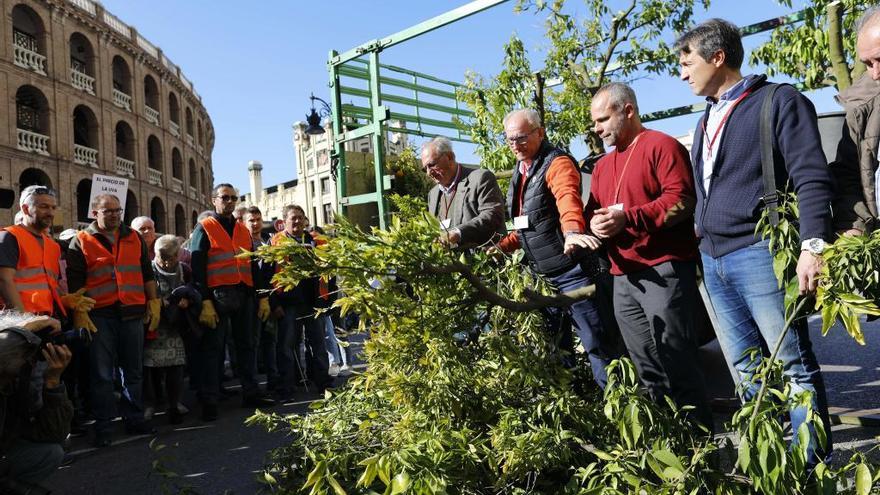 Una revuelta que se cultiva en el campo