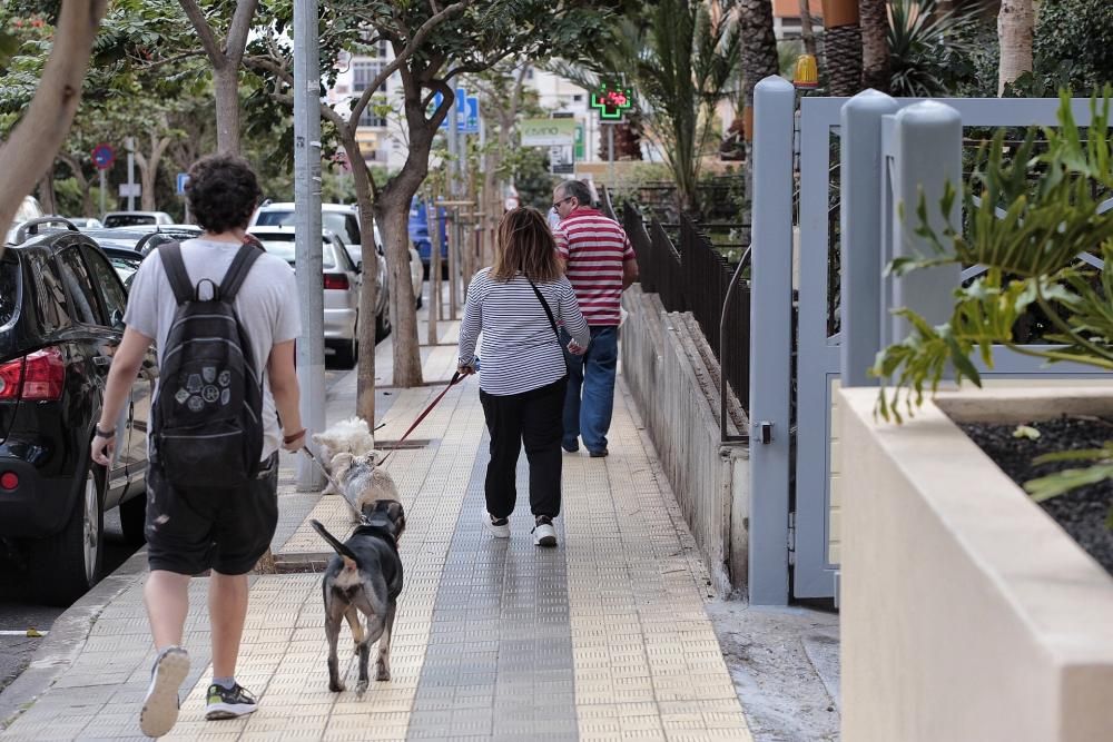 Reportaje: Gente con mascotas