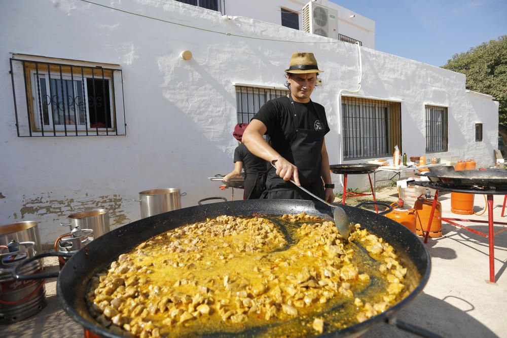 Siega y 'perxa' en l´Albufera