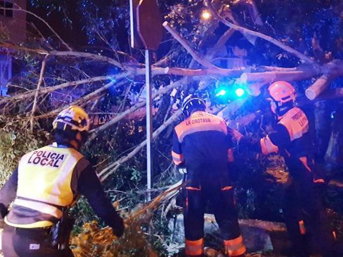 Registran más de 800 incidentes por el viento en Canarias Registran más de 800 incidentes por el viento en Canarias