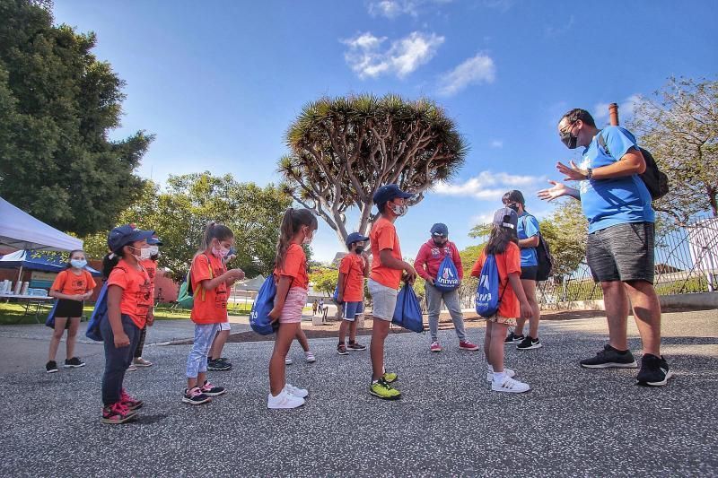 La Escuela Abierta de Verano ?Yo Soy Taco? inicia su sexta edición adaptada a la nueva normalidad | 12/08/2020  | 12/08/2020 | Fotógrafo: María Pisaca Gámez