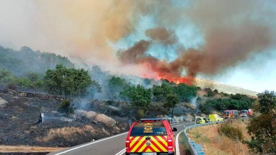 Cómo actuar ante un incendio forestal si te encuentras conduciendo