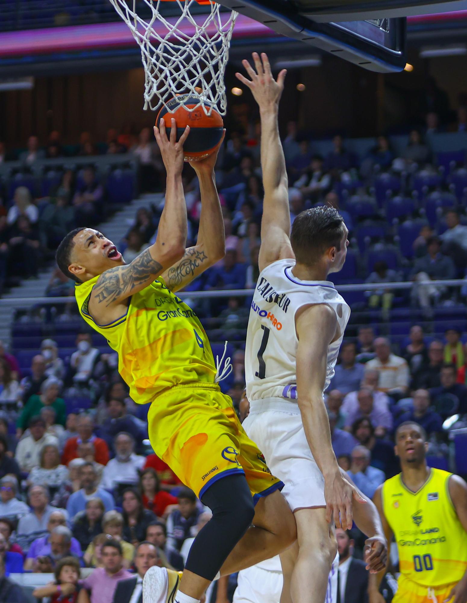 Playoff | Real Madrid - Dreamland Gran Canaria