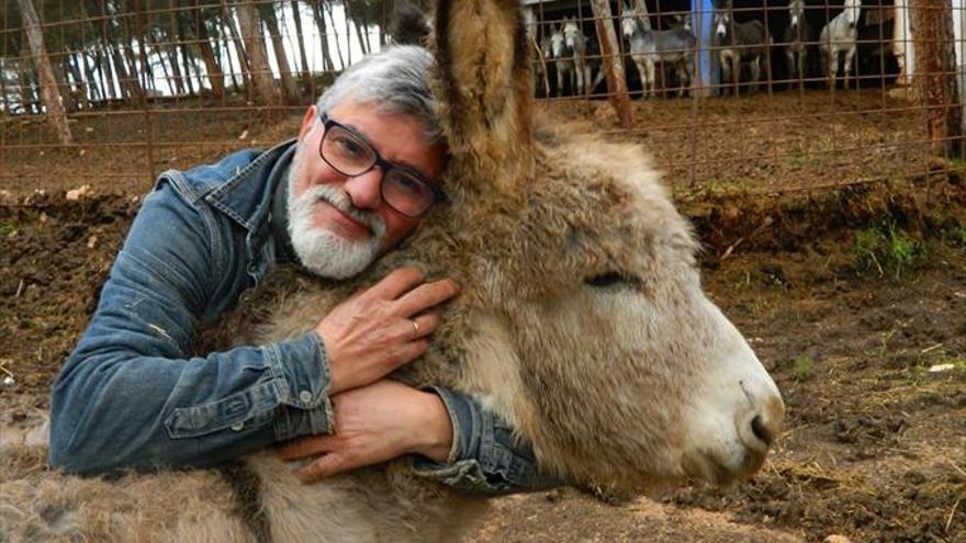 El &#039;ejiao&#039;, la gelatina china que amenaza a los burros