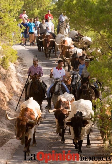 Vereda en Moratalla