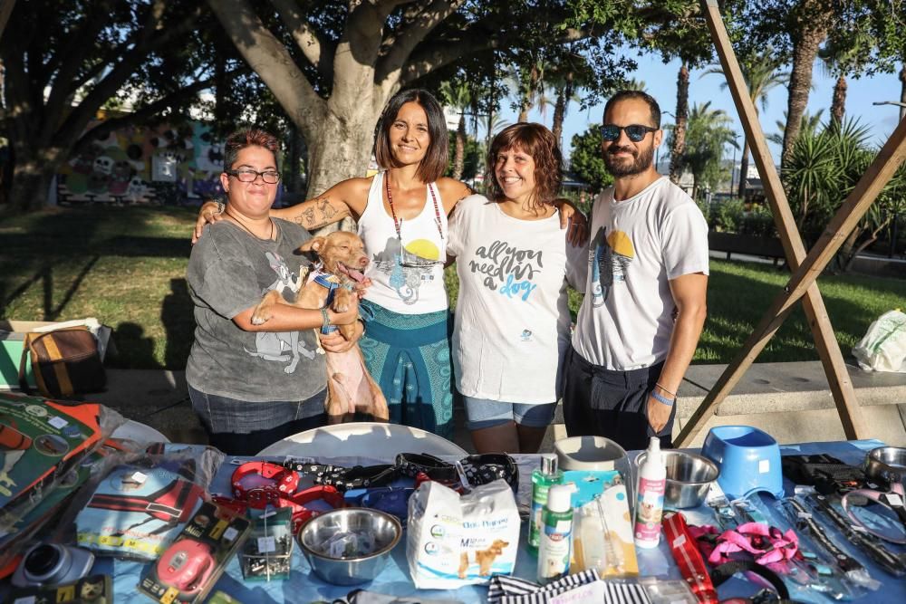 Cientos de personas acudieron ayer a Sant Antoni para celebrar las fiestas patronales con música, arte y comida