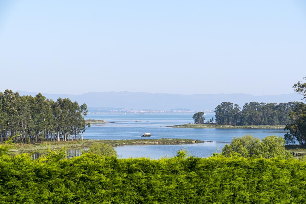 Ria de Arousa, Galicia.