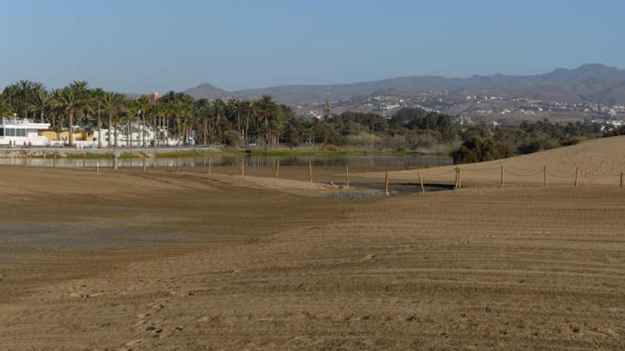 Las mareas del Pino elevan medio metro la Charca de Maspalomas