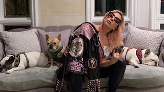 Lady Gaga ofrece 400.000 euros de recompensa por sus perros robados a tiros