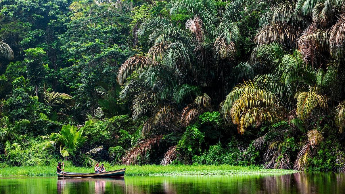 Excursión por el Parque Nacional de Tortuguero, Costa Rica