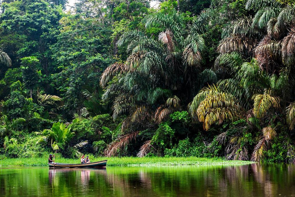 Excursión por el Parque Nacional de Tortuguero, Costa Rica