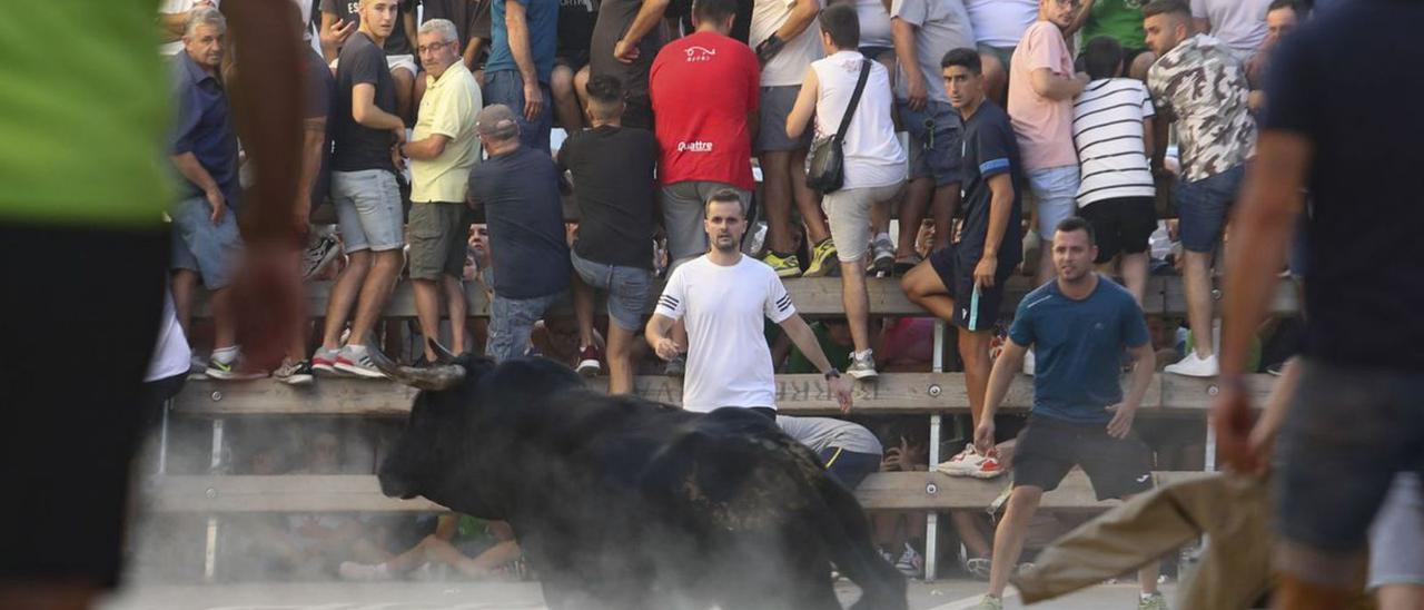 Festejos taurinos en Benifairó de les Valls. | DANIEL TORTAJADA