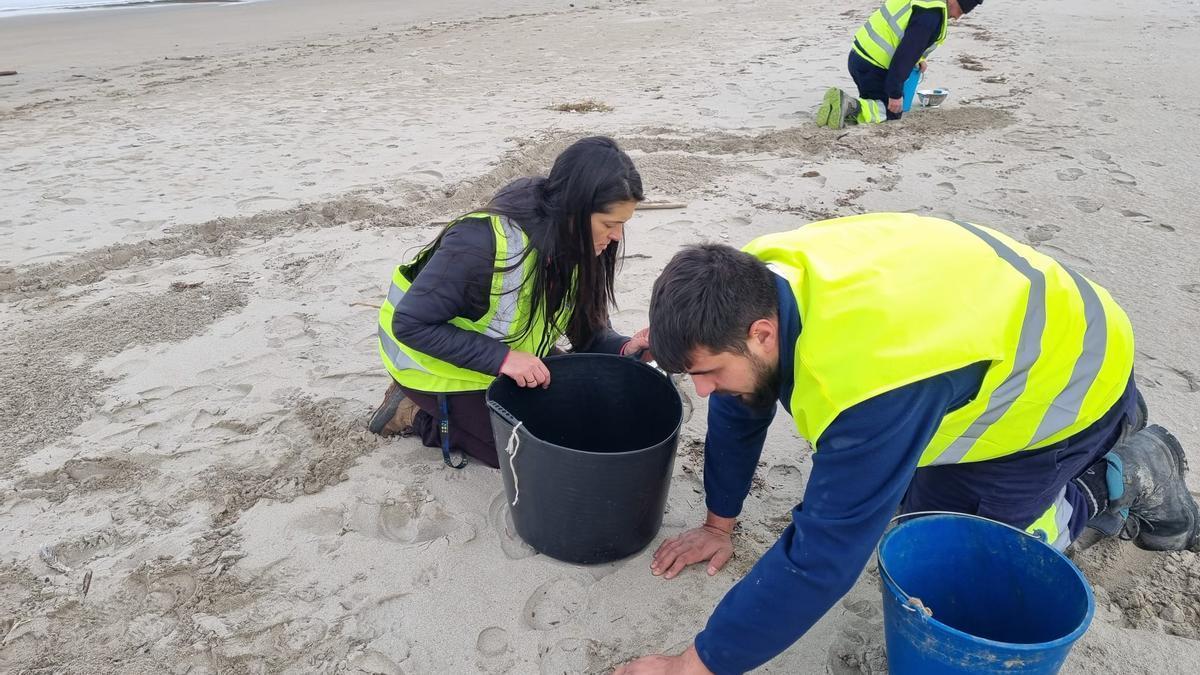 Operarios recogiendo pellets en una playa.