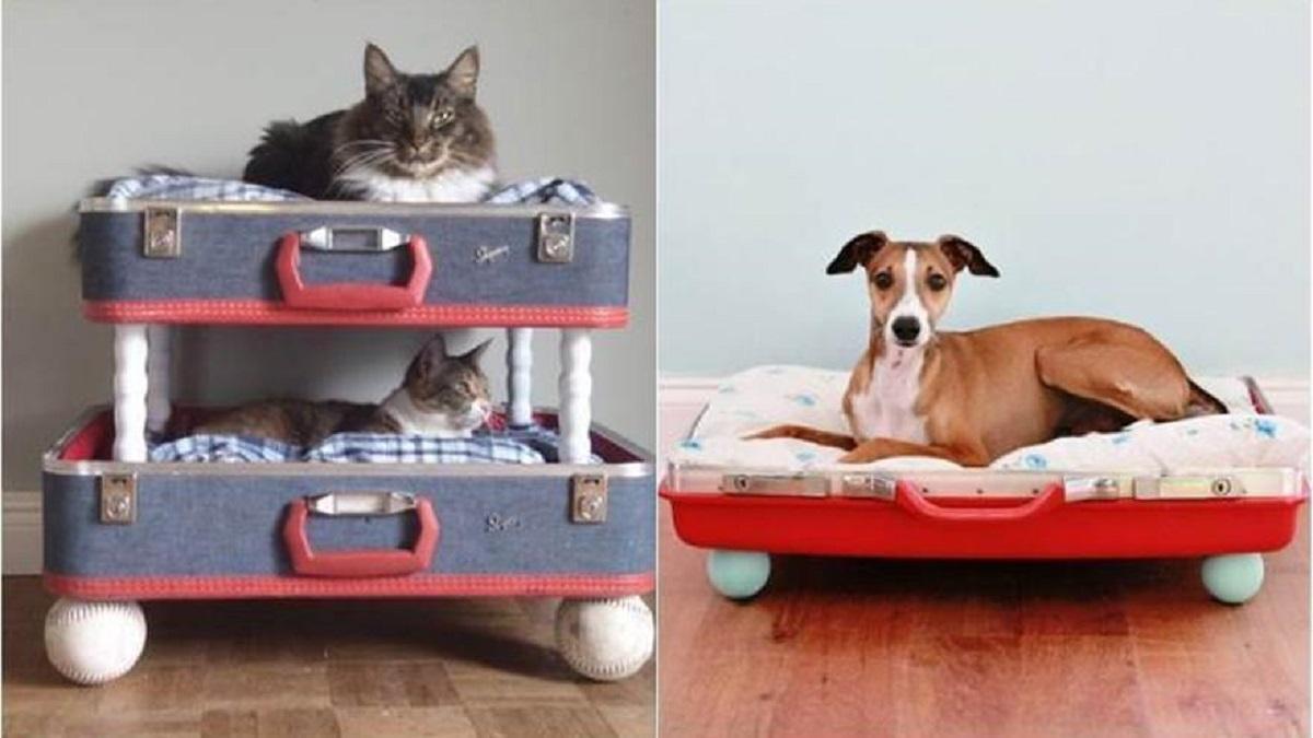 Una maleta con otro uso diferente: la cama de tu mascota.