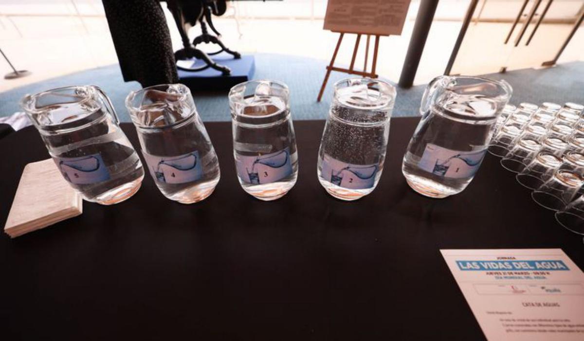 Distinguir entre agua del grifo y embotellada, una misión difícil |