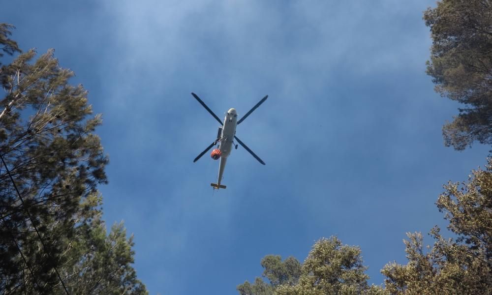 Waldbrand bei Puigpunyent