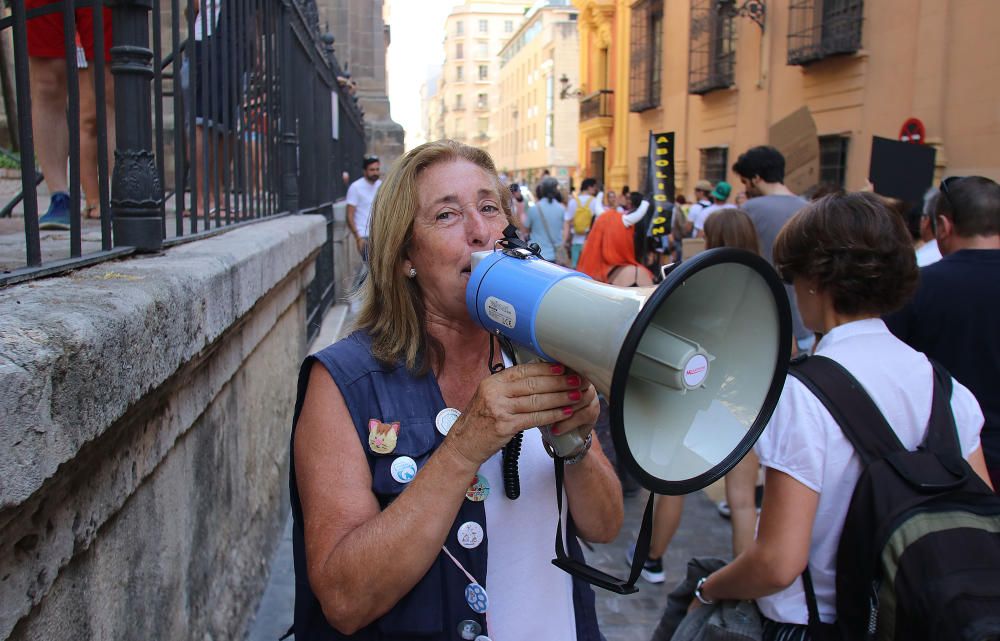 Centenares de personas se unen en Málaga contra la tauromaquia