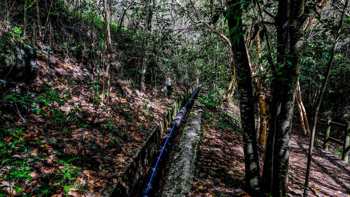 La tubería que discurre por Los Tilos de Moya, que ha mermado los recursos hídricos de la zona.