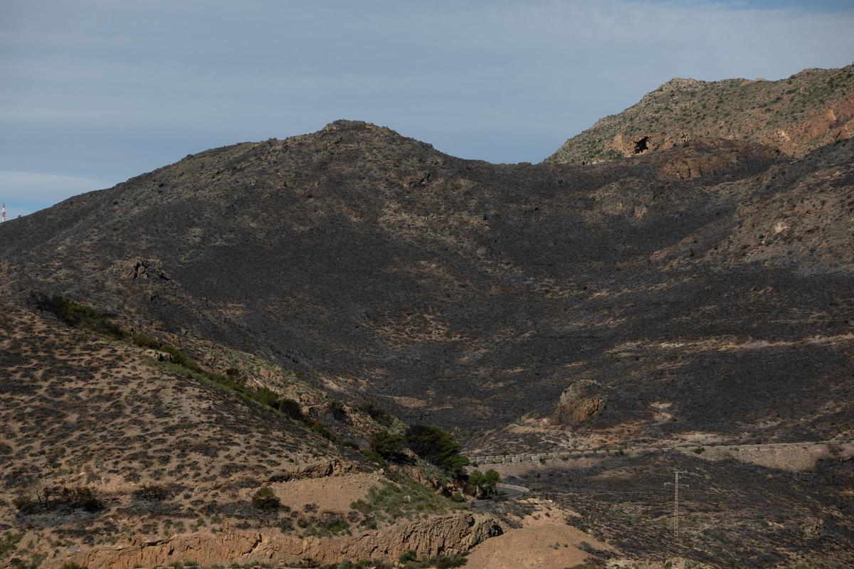 Algunos de los momentos más destacados de esta mañana en el incendio de Cabo Tiñoso. Algunos de los momentos más destacados de esta mañana en el incendio de Cabo Tiñoso.
