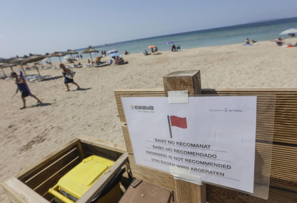 Badeverbot wegen Abwässern an Palmas Stadtstränden