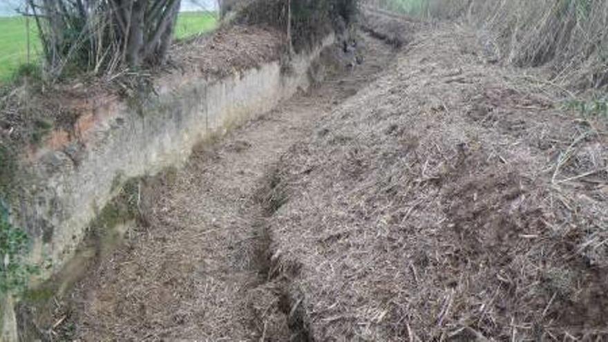 L&#039;actuació s&#039;ha dut a terme al torrent de Can Rabassa.