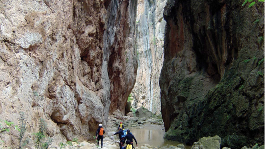 Garganta verde