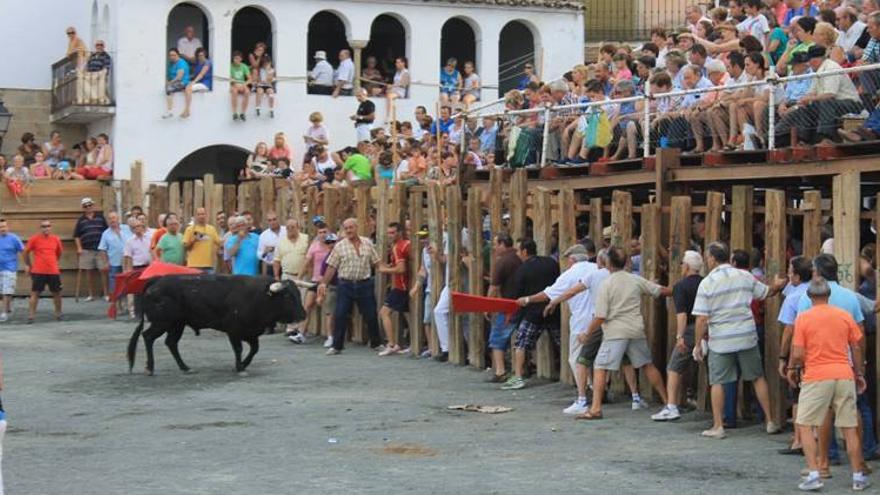 Garrovillas: una forma única de vivir el toro