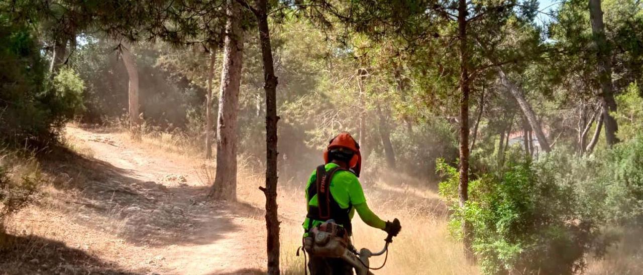 Uno de los trabajadores de la brigada forestal.