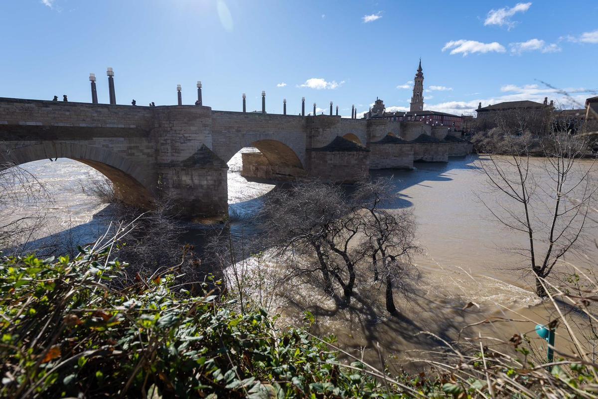 En imágenes I Árboles caídos en Zaragoza y parques cerrados por el viento