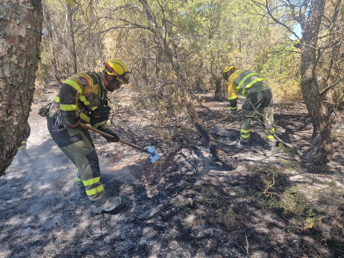 En imágenes I El operativo del Infoar en el sector 1 del incendio de Leciñena, este viernes En imágenes I El operativo del Infoar en el sector 1 del incendio de Leciñena, este viernes